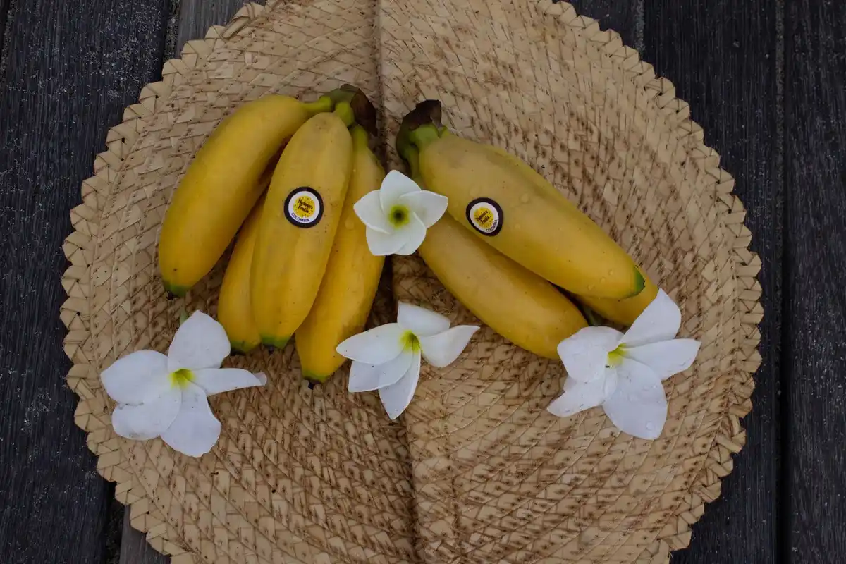 Bananito