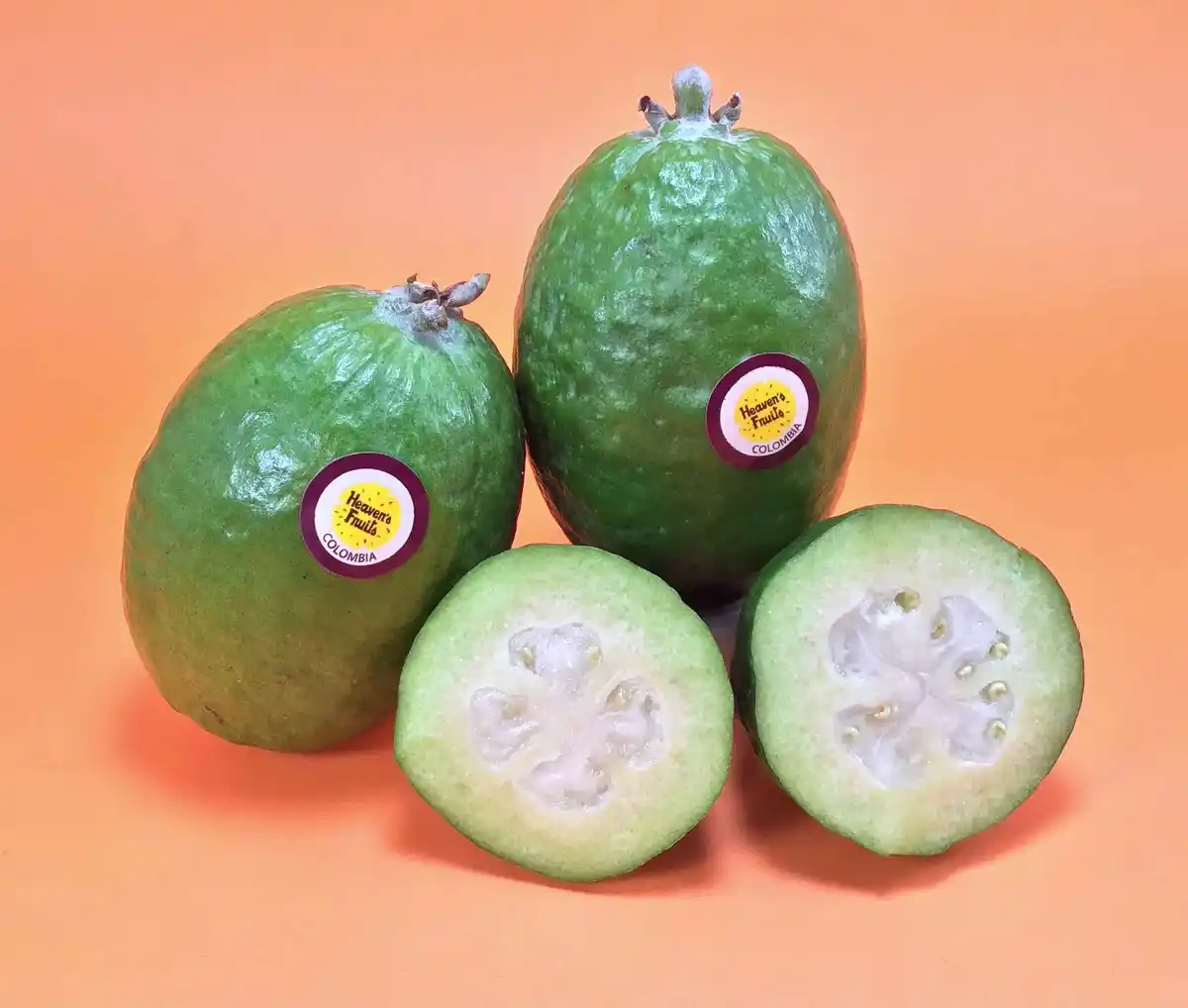 Feijoa