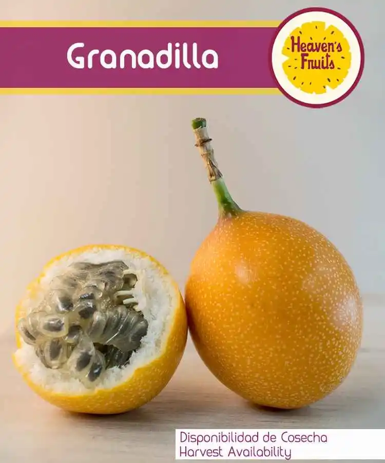 Granadilla