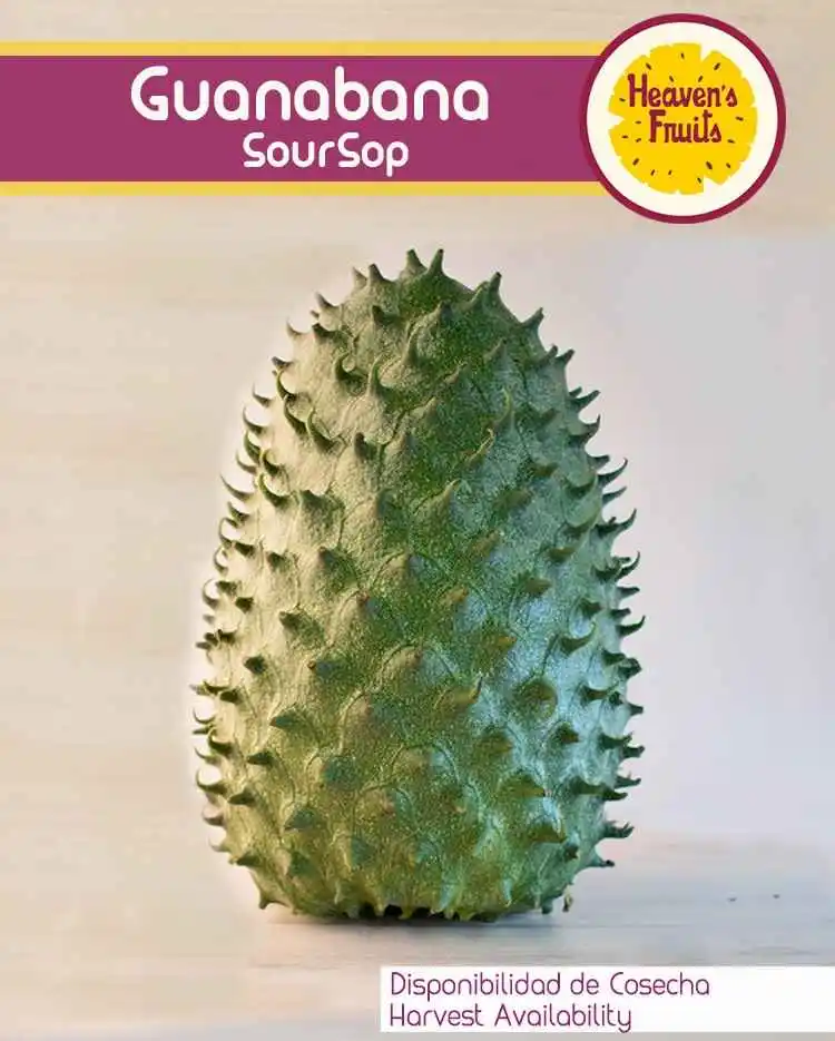 Guanabana