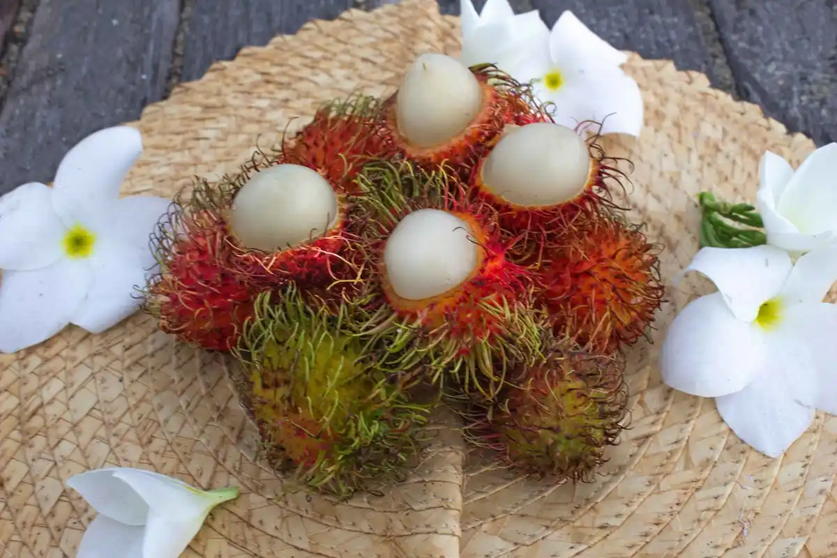 Rambutan