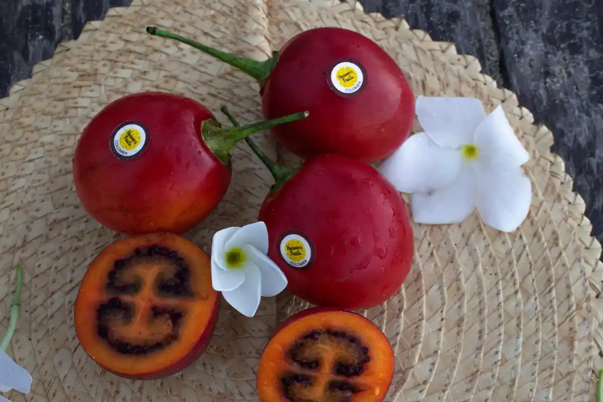 Tamarillo